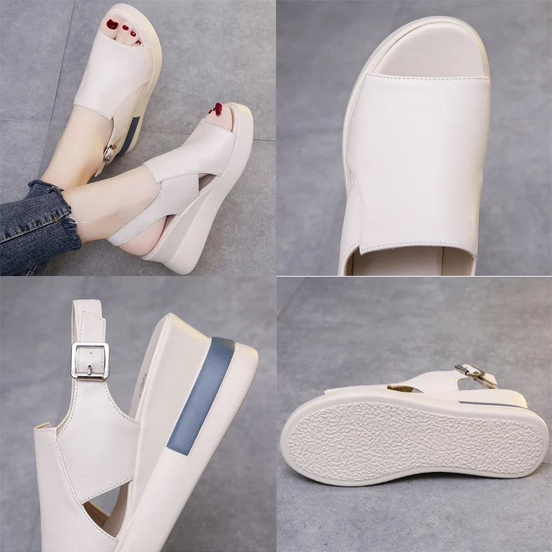 Celestique™ | Elegant und komfortabel