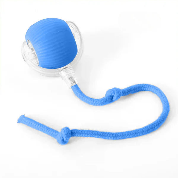 MeowMotion™ | Unterhalten Sie Ihre Katze