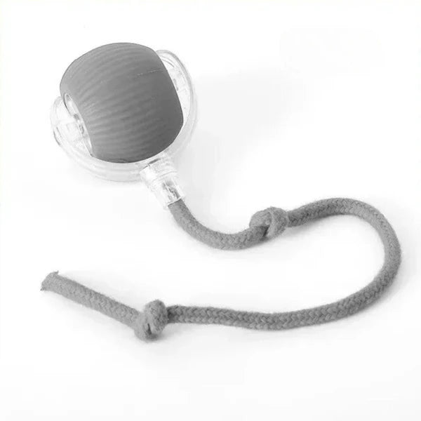 MeowMotion™ | Unterhalten Sie Ihre Katze