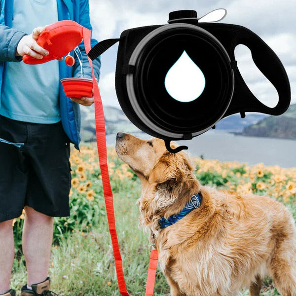 FlexiPaws™ | Allt din hund behöver!