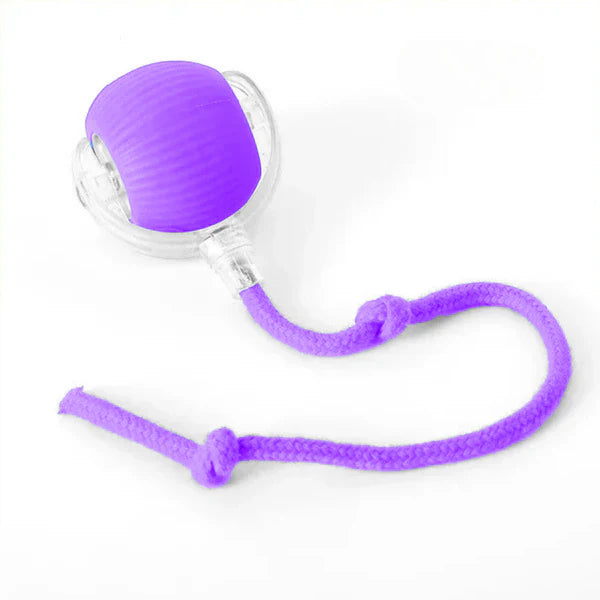 MeowMotion™ | Unterhalten Sie Ihre Katze