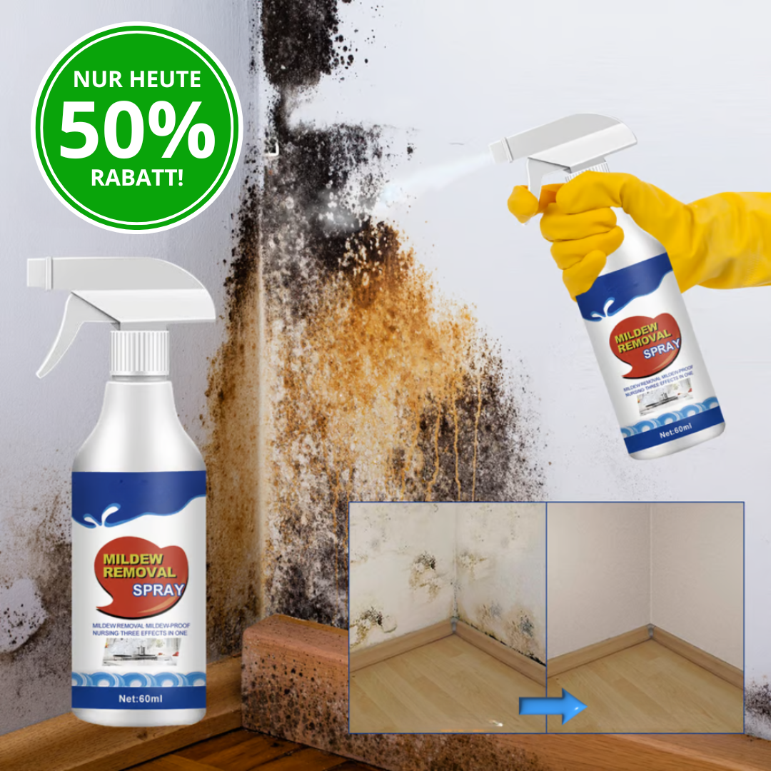MoldyFix™ | Schimmelpilz-Entfernungsspray