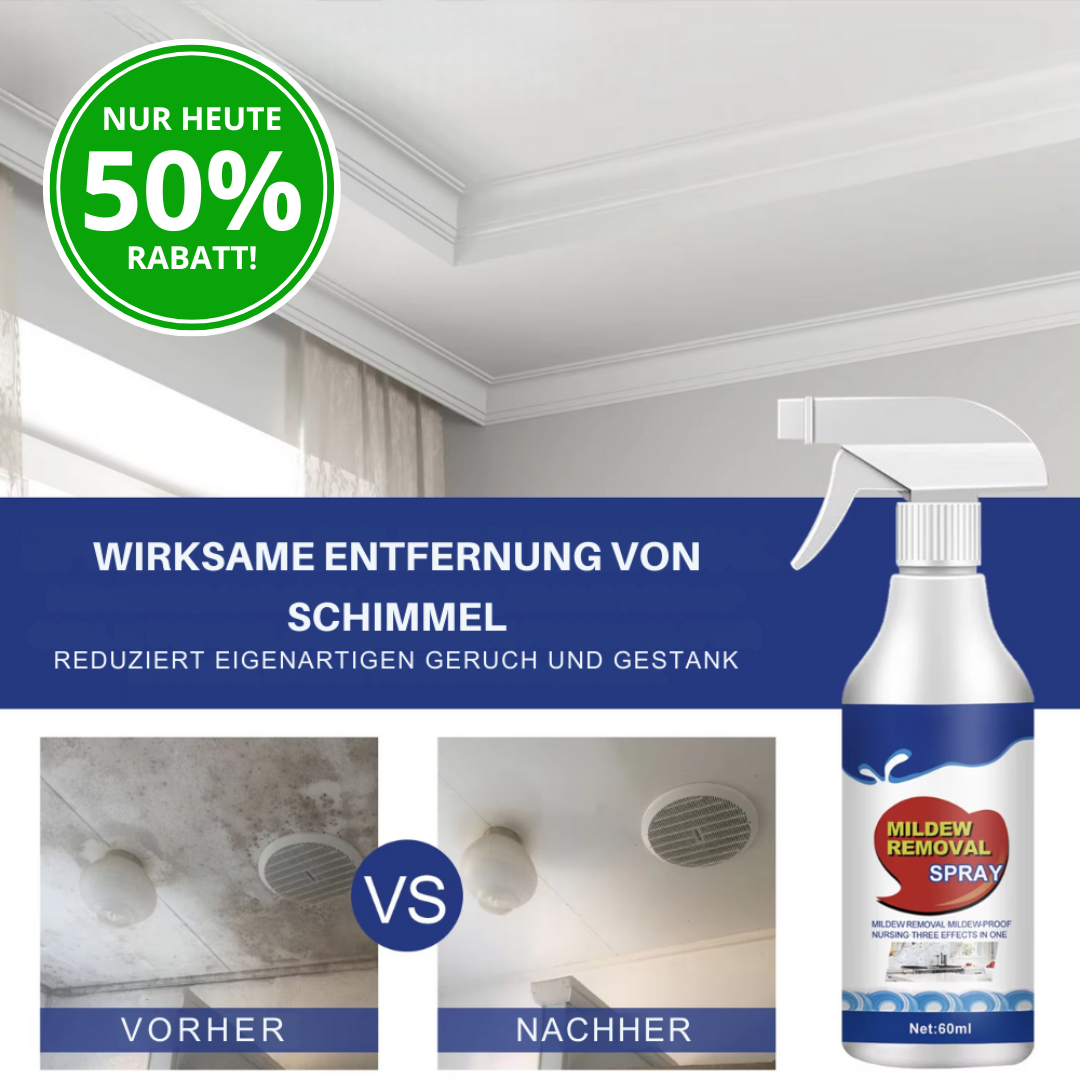 MoldyFix™ | Schimmelpilz-Entfernungsspray