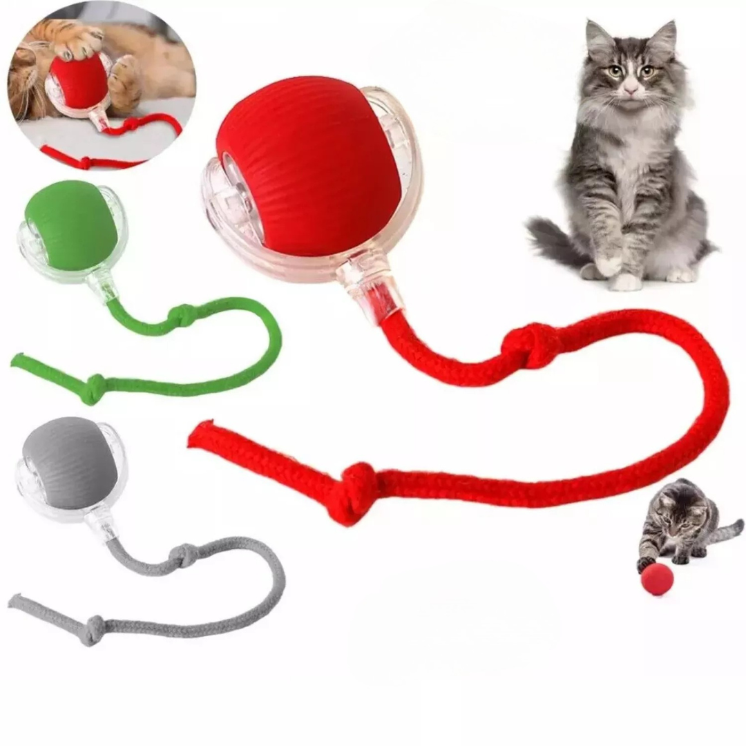 MeowMotion™ | Unterhalten Sie Ihre Katze