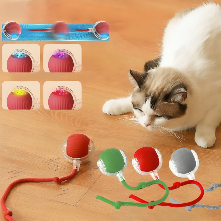 MeowMotion™ | Unterhalten Sie Ihre Katze