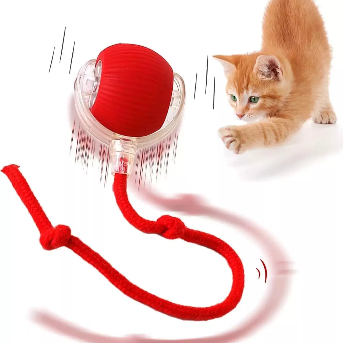 MeowMotion™ | Unterhalten Sie Ihre Katze