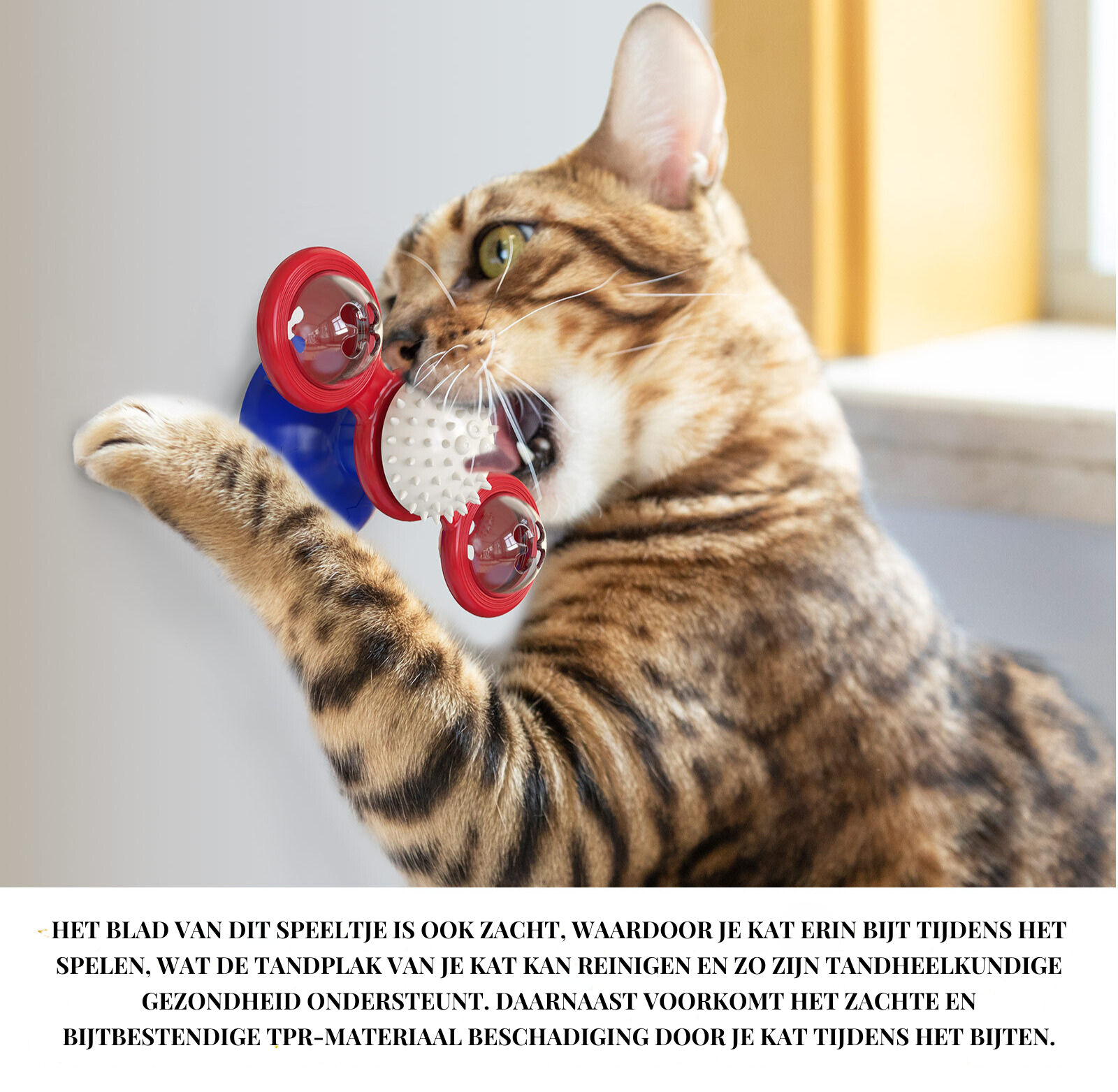 SpinBallz™ | Het ultieme speeltje voor katten